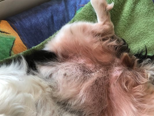 Foto ©Esther Hufschmid