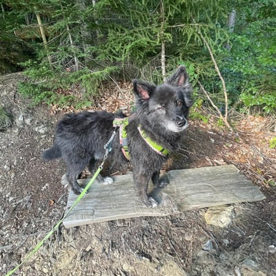 Foto ©️Nerina Sindelar