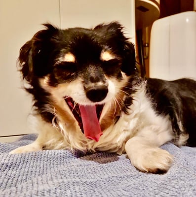 Foto © Esther Hufschmid