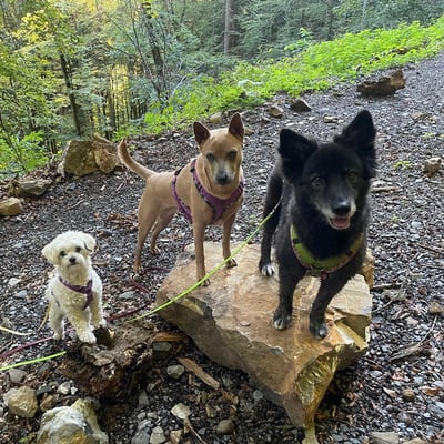 Foto ©️Nerina Sindelar