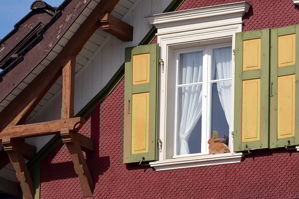 Nr. 224 / 08.03.2015 / Appenzell /6000 x 4000 / JPG-Datei