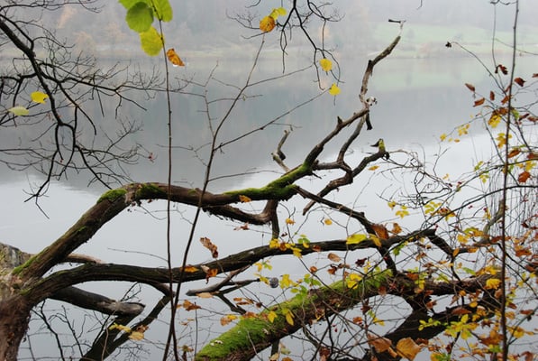 Nr. 240 / 13.11.2011 / Türlersee, Blick Richtung Nord / 3872 x 2592 / JPG Datei