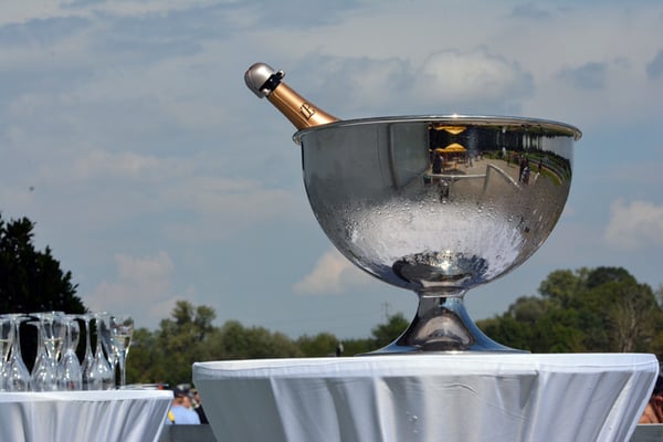 Nr. 2532 / 07.09.2014 / Dielsdorf, Pferde-Rennbahn / 6000 x 4000 / JPG-Datei