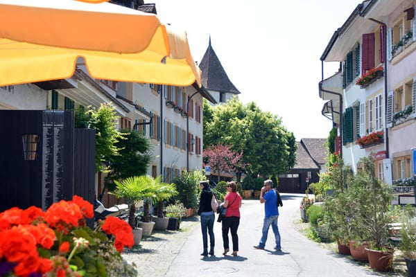 Nr. 197 / 31.05.2014 / Murten /6000 x 4000 / JPG-Datei