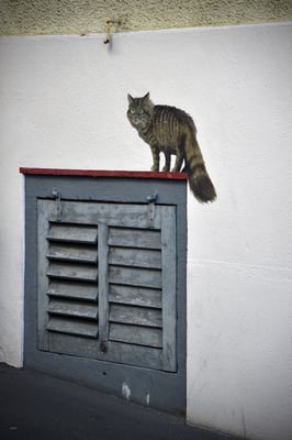 Nr. 333 / 2018 / Zug /6000 x 4000 / JPG-Datei