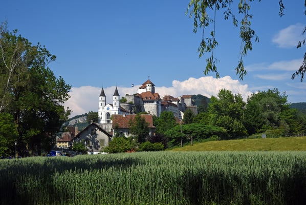 Nr. 5124 / Woche 24 / Aarburg, Schloss Aarburg