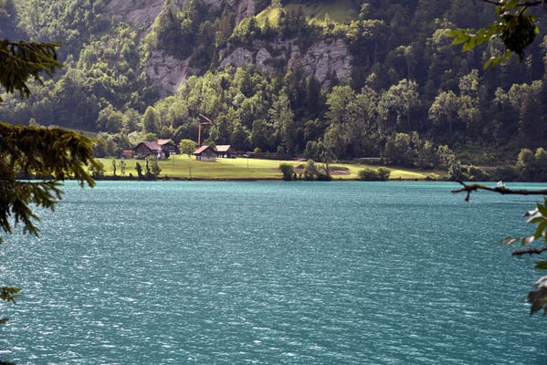 Nr. 303 / 11.07.2015 / Lungernsee, Blick Richtung West / 6016 x 4016 / JPG-Datei