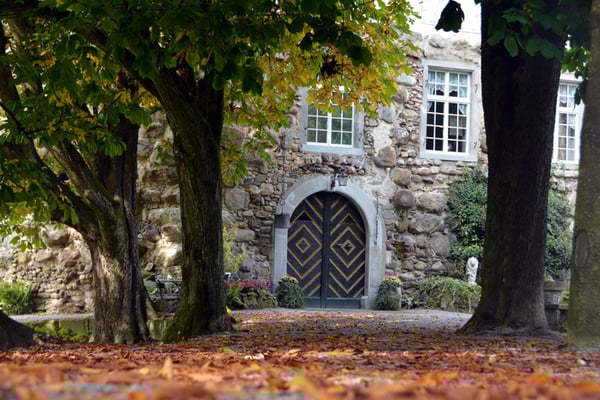 Nr. 2609 / 05.10.2014 / Schloss Wellenberg, Felben Wellhausen / 6000 x 4000 / JPG-Datei