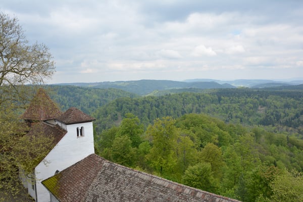 Nr. 2504 / 04.05.2014 / Kyburg / 6016 x 4000 / JPG-Datei