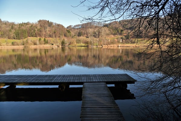 Nr. 272 / 2018 / Türlersee / 6016 x 4000 / JPG Datei