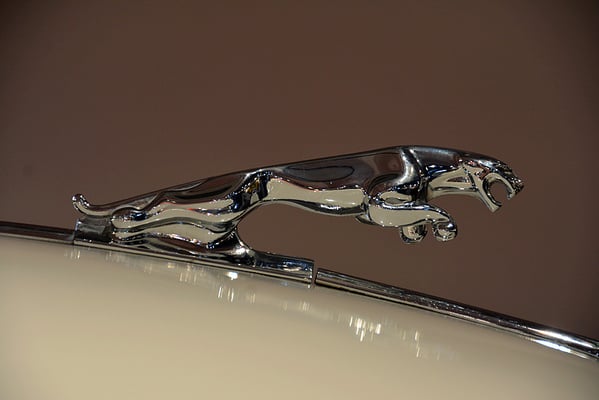 Nr. 2157 / 04.05.2014 / Romanshorn, Autobau / 6000 x 4000 / JPG-Datei