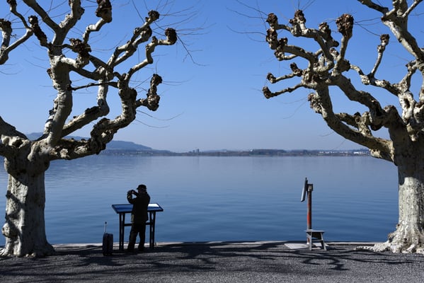 Nr. 311 / 2018 / Zug am See /6000 x 4000 / JPG-Datei