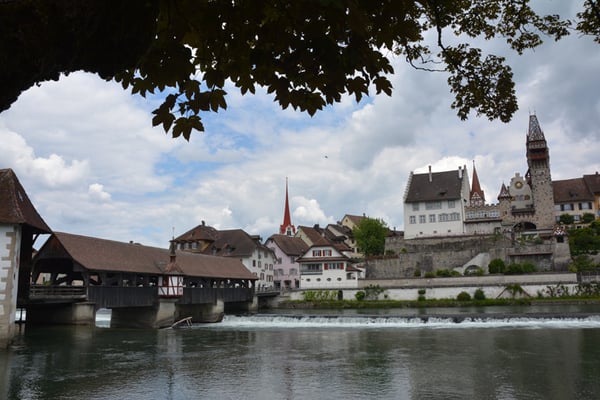 Nr. 120 / 29.05.2014 / Bremgarten /6000 x 4000 / JPG-Datei