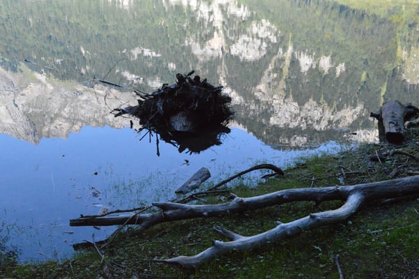 Nr. 212 / 08.09.12 / Klöntalersee, Spiegelung, Blick Richtung Nord-Ost / 6016 x 4000 / JPG-Datei
