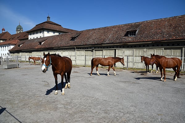 Nr. 3058 / 2016 / Kloster Einsiedeln / 6000 x 4000 / JPG-Datei