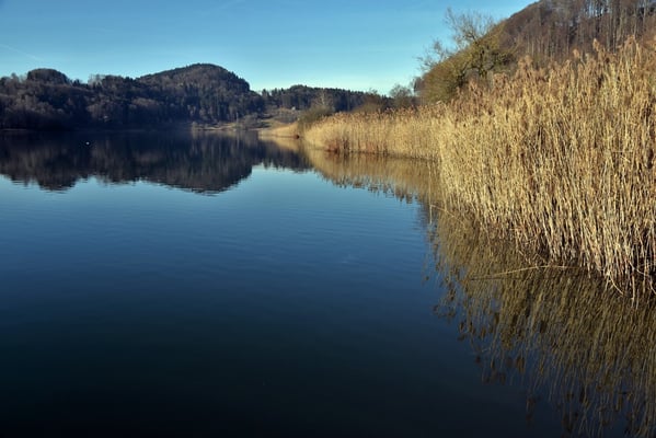 Nr. 268 / 2018 / Türlersee / 6016 x 4000 / JPG Datei