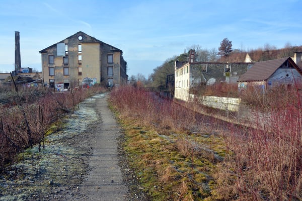 Nr. 5006 / Woche 6 / Bülach Jakobstal, Spinnerei / 6000 x 4000 / JPG-Datei 