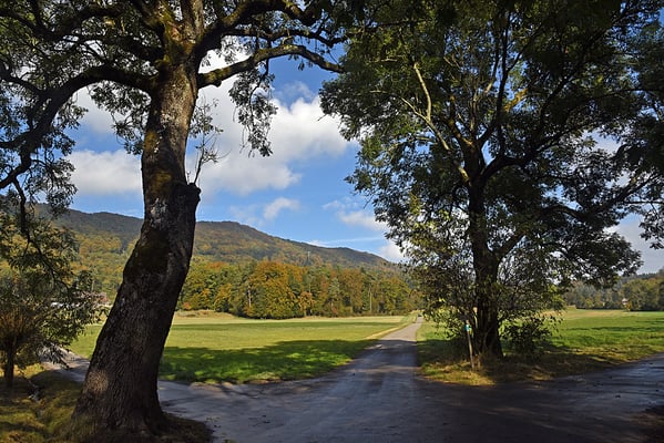 5142 / Woche 42 / Wettingen Eigistrasse Blick Richtung Lägern