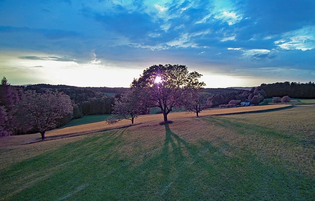 5223 / Woche 23 / Ober-Mettmenstetten, Abendstimmung