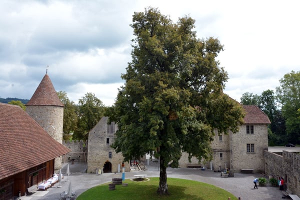 Nr. 2570 / 09.08.2014 / Schloss Hallwyl, Seengen / 6000 x 4000 / JPG-Datei