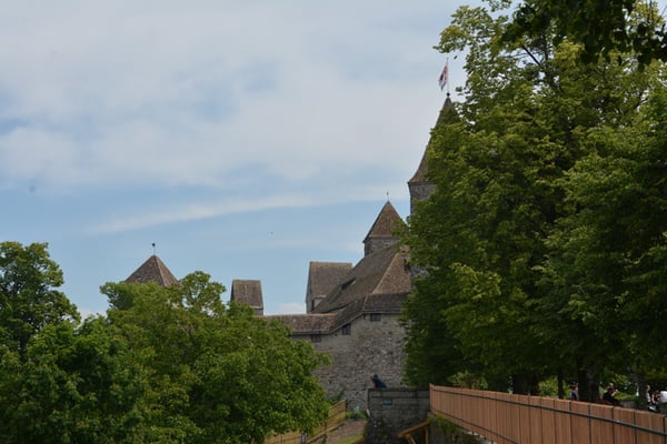 Nr. 2585 / 25.05.2014 / Schloss Rapperswil / 6000 x 4000 / JPG-Datei