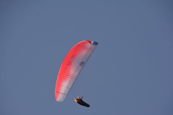 Nr. 2584 / 12.10.2014 / Zürich-Leimbach, Albis / 6000 x 4000 / JPG-Datei