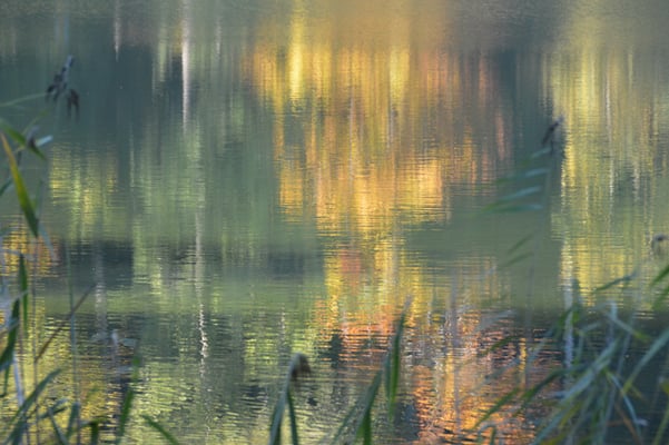 Nr. 247 / 19.10.2013 / Türlersee, Blick Richtung Nord / 6016 x 4000 / JPG Datei