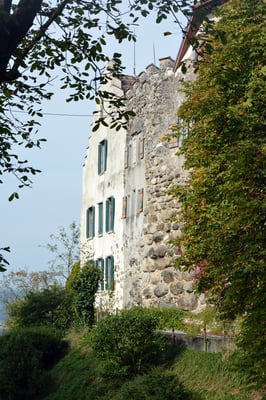 Nr. 2610 / 05.10.2014 / Schloss Wellenberg, Felben Wellhausen / 6000 x 4000 / JPG-Datei