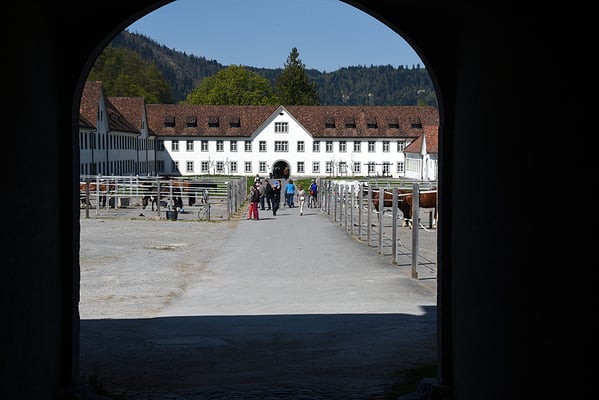 Nr. 3048 / 2016 / Kloster Einsiedeln / 6000 x 4000 / JPG-Datei
