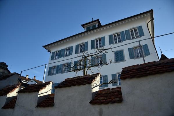 Nr. 325 / 2018 / Zug /6000 x 4000 / JPG-Datei