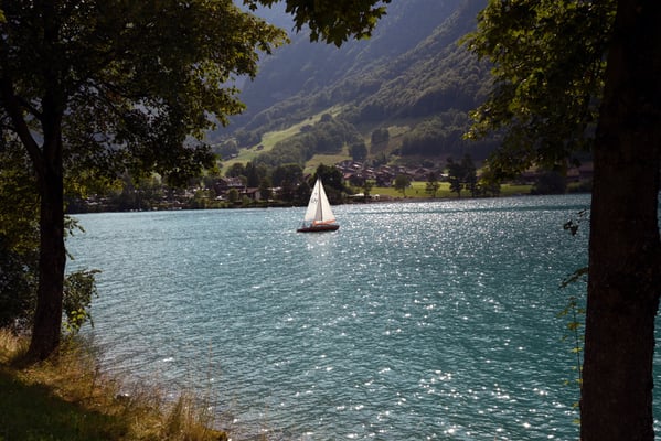 Nr. 302 / 11.07.2015 / Lungernsee, Blick Richtung Süd-West / 6016 x 4016 / JPG-Datei