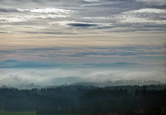 Woche 48 / Blick von Lindau
