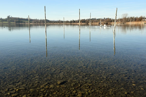 Nr. 246 / 2015 / Pfäffikersee, 4512 x 3008 / JPG-Datei