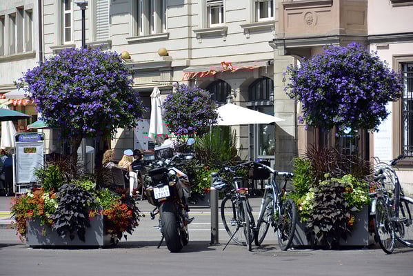 Nr. 320 / August 2014 / Schaffhaussen /6024 x 4008 / JPG/NEF-Datei