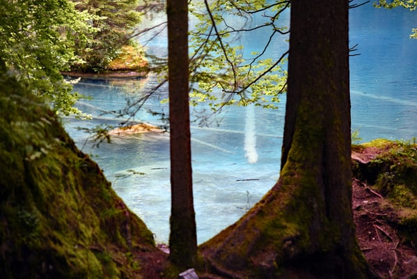 Nr. 350 / 2016 / Blausee / 6016 x 4016 / JPG-Datei