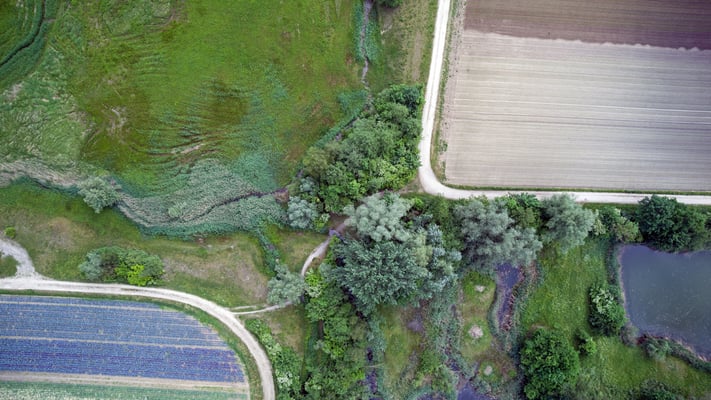 Woche 24, Buchs ZH Gheid, Drohnenaufnahme