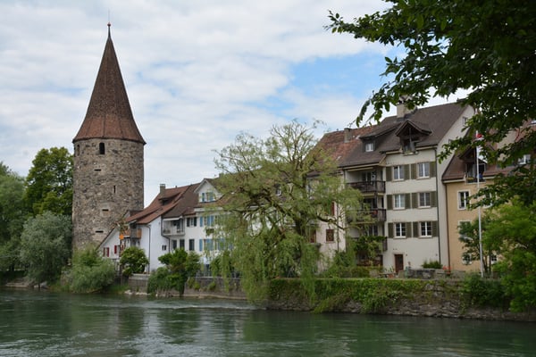 Nr. 146 / 29.05.2014 / Bremgarten /6000 x 4000 / JPG-Datei