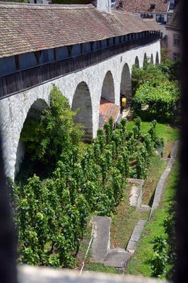 Nr. 2632 / 2014 / Burg, Munot / 6000 x 4000 / JPG-Datei / NEF Datei