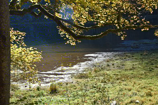 Nr. 361 / 2017 / Obersee im Kanton Glarus / 6016 x 4000 / JPG Datei