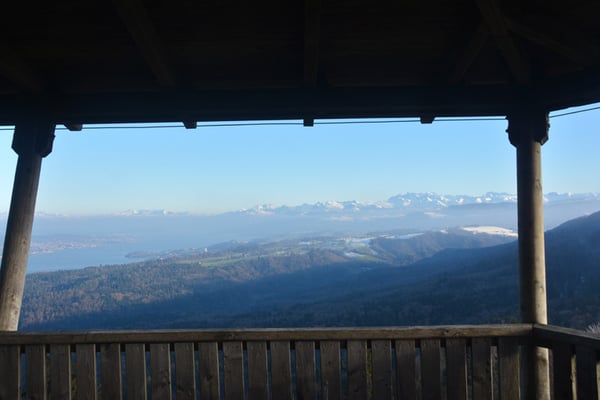 Nr. 5003 / Woche 3 / Albis Hochwacht, Blick vom Aussichtsturm - Richtung Westen  / 6000 x 4000 / JPG-Datei 