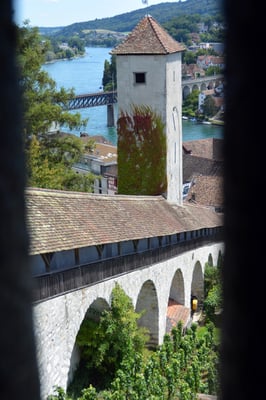 Nr. 2631 / 2014 / Burg, Munot / 6000 x 4000 / JPG-Datei / NEF Datei