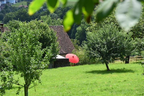 5132 /  Woche 32 / Bauernhof beim Schloss Wildegg