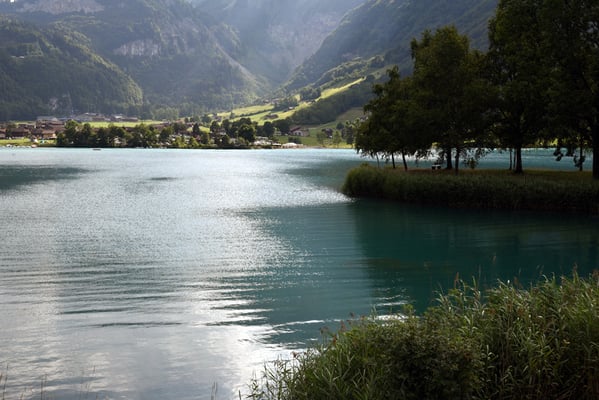 Nr. 310 / 11.07.2015 / Lungernsee, Blick Richtung Süd-West / 6016 x 4016 / JPG-Datei