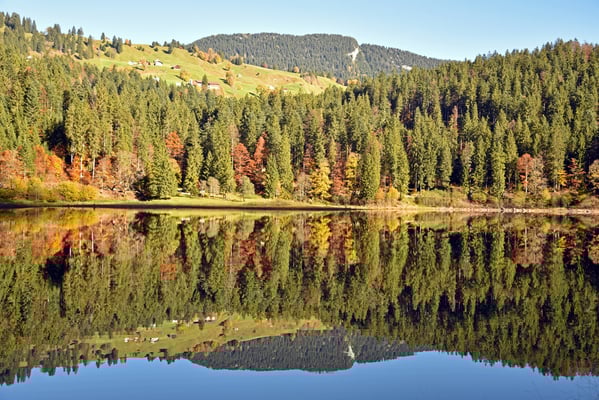 Nr. 359 / 2017 / Obersee im Kanton Glarus / 6016 x 4000 / JPG Datei