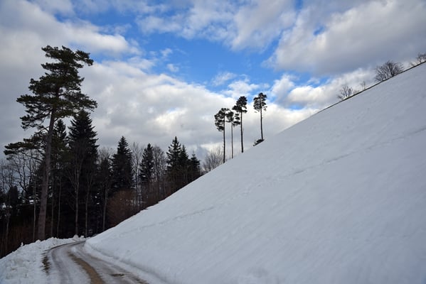 5302 / Woche 2 / Hulftegg