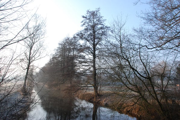 Nr. 250 / 22.02.12 / Glatt Dübendorf / 3872 x 2592 / JPG Datei