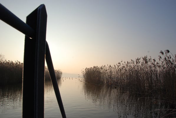 Nr. 246 / 22.02.12 / Glatt Auslauf Greifensee Schwerzenbach / 3872 x 2592 / JPG Datei