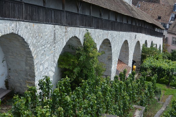 Nr. 2636 / 2014 / Burg, Munot / 6000 x 4000 / JPG-Datei / NEF Datei