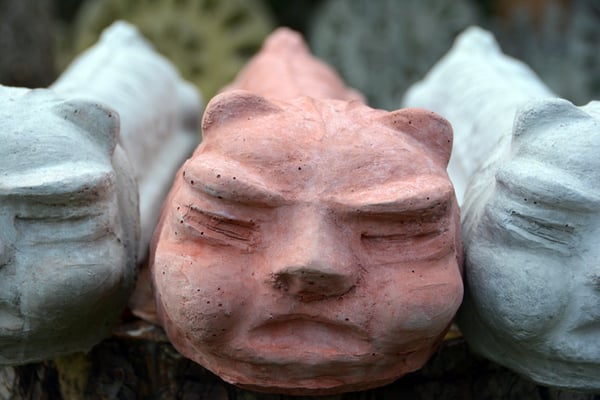 Nr. 1073 / 12.10.14 / Dietikon, Bruno-Weber-Park / 6016 x 4000 / JPG-Datei