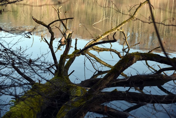 Nr. 267 / 2018 / Türlersee / 6016 x 4000 / JPG Datei